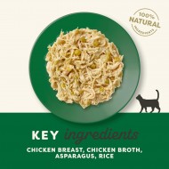 Applaws Cat Adult Chicken Breast With Asparagus in Broth - konservi kaķiem vistas krūtiņa ar sparģeļiem, 70g