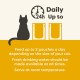 Applaws Wet Cat Food, Pouch Multipack Chicken Selection in Broth 70g, (12 x 70 g Pouches) Applaws Wet Cat Food, Pouch Multipack Chicken Selection in Broth 70g, (12 x 70 g Pouches)