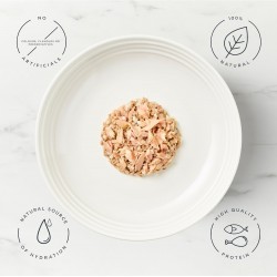 Encore Cat Tin Ocean Fish - konservi kaķiem ar okeāna zivīm 70g