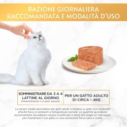 Gourmet Gold Kitten Pate Veal - konservi pastēte kaķiņiem ar teļa gaļu 12 x 85g