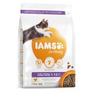 Sausā barība kaķēniem – IAMS CAT KITTEN CHICKEN, 1.5 kg (110717)