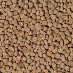 Barība trušiem : Beaphar Care+ Rabbit 1.5 kg (111607)