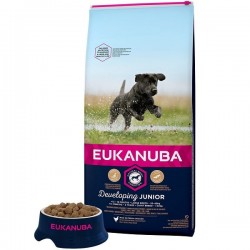 Sausa barība kucēniem - Eukanuba Junior Large Breed Chicken, 15 kg (107433)