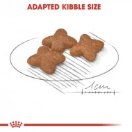 Barība Royal Canin SHN Mini Adult (8kg)